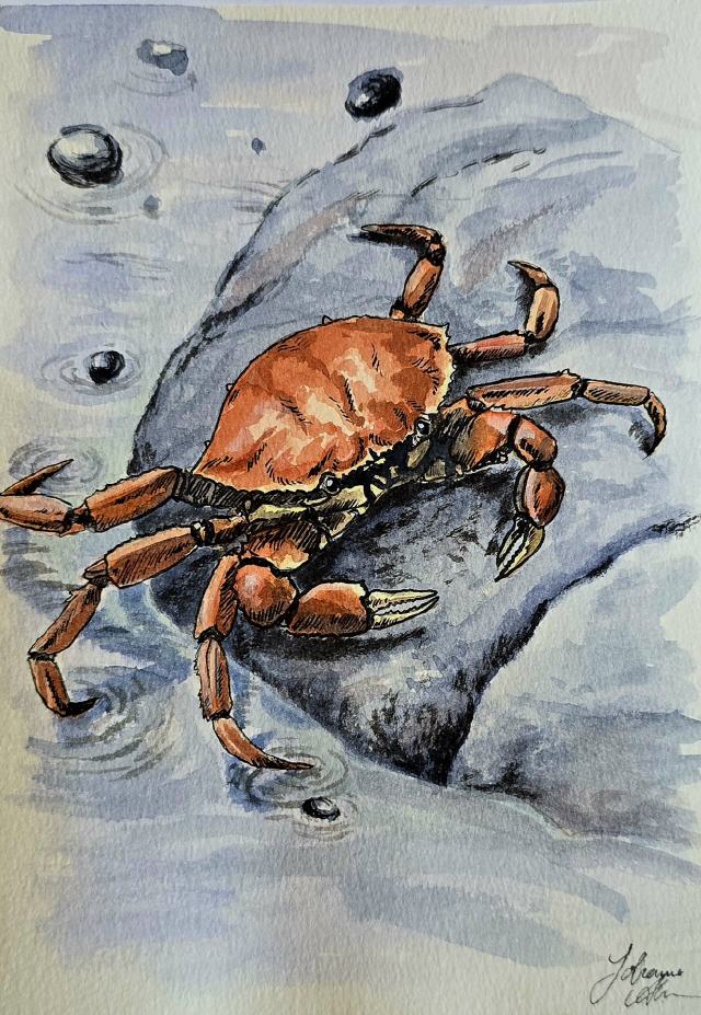 Das kleine Krabbeln /