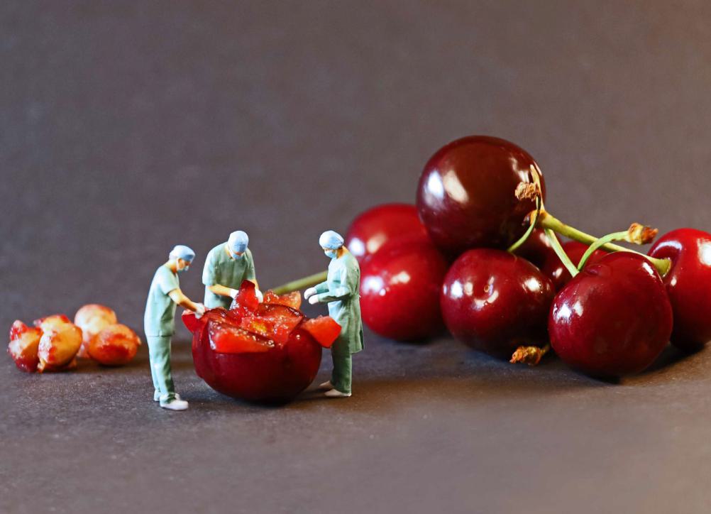 Miniaturfotografie 
